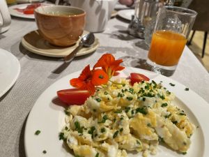 Essen, Krafttraining, Cardio?