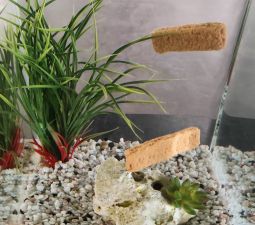 Grundumsatz & Leistungsumsatz Grundumsatz & Leistungsumsatz