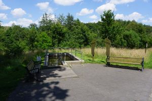 Nordic Walking & Co. 